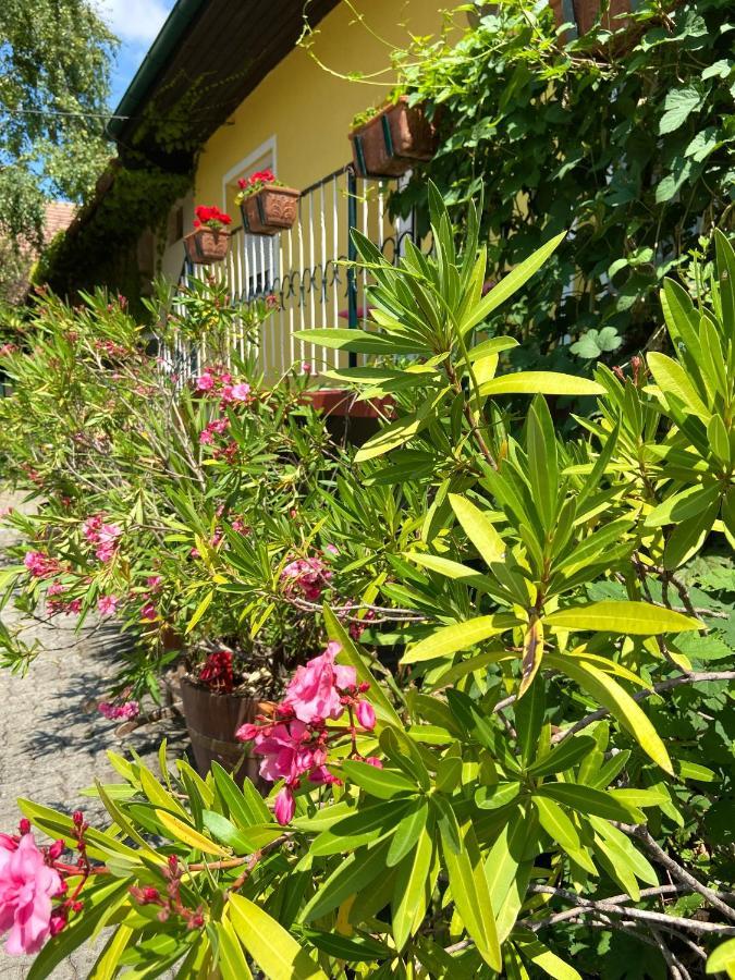 Gemütliches Zimmer im Innenhof Jois Exterior foto